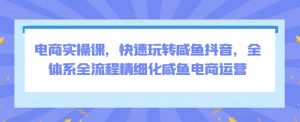 电商实操课，快速玩转咸鱼抖音，全体系全流程精细化咸鱼电商运营-沐风资源库