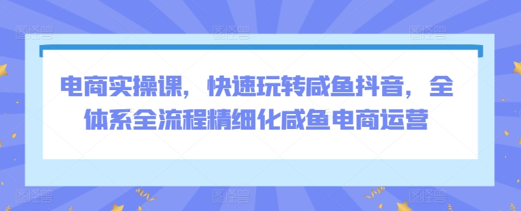 电商实操课，快速玩转咸鱼抖音，全体系全流程精细化咸鱼电商运营-沐风资源库