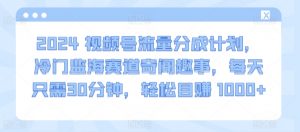 2024视频号流量分成计划，冷门监海赛道奇闻趣事，每天只需30分钟，轻松目赚 1000+【揭秘】-沐风资源库