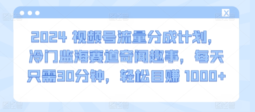 2024视频号流量分成计划，冷门监海赛道奇闻趣事，每天只需30分钟，轻松目赚 1000+【揭秘】-沐风资源库