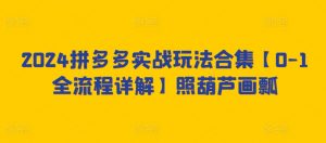 2024拼多多实战玩法合集【0-1全流程详解】照葫芦画瓢-沐风资源库