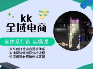 KK全域电商，全体系打造实操课，多平台打造电商逻辑体系-沐风资源库