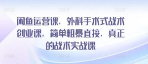 闲鱼运营课，外科手术式战术创业课，简单粗暴直接，真正的战术实战课-沐风资源库