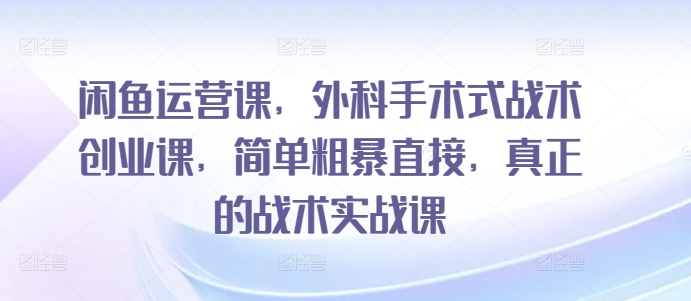 闲鱼运营课，外科手术式战术创业课，简单粗暴直接，真正的战术实战课-沐风资源库