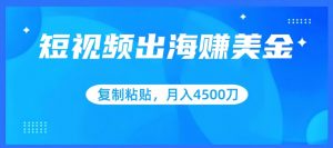 短视频出海赚美金，复制粘贴批量操作，小白轻松掌握，月入4500美刀【揭秘】-沐风资源库
