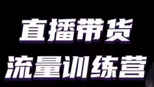 直播带货流量训练营，小白主播必学直播课-沐风资源库