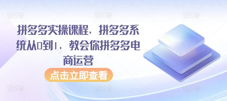拼多多实操课程，拼多多系统从0到1，教会你拼多多电商运营-沐风资源库