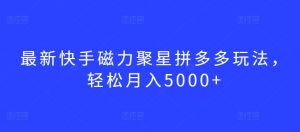 最新快手磁力聚星拼多多玩法，轻松月入5000+【揭秘】-沐风资源库