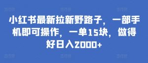 小红书最新拉新野路子，一部手机即可操作，一单15块，做得好日入2000+【揭秘】-沐风资源库