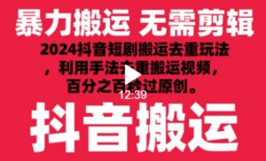 2024最新抖音搬运技术，抖音短剧视频去重，手法搬运，利用工具去重，达到秒过原创的效果【揭秘】-沐风资源库