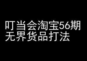 叮当会淘宝56期:无界货品打法-淘宝开店教程-沐风资源库