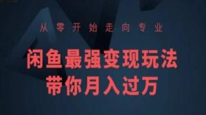 从零开始走向专业，闲鱼最强变现玩法带你月入过万-沐风资源库