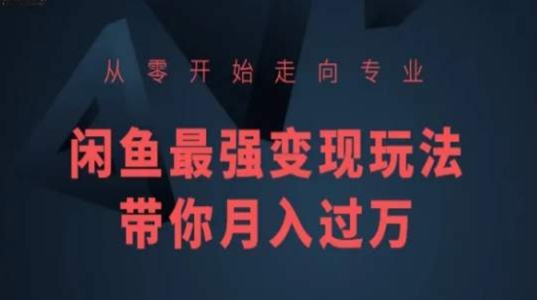 从零开始走向专业，闲鱼最强变现玩法带你月入过万-沐风资源库