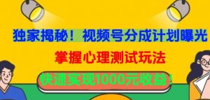 独家揭秘！视频号分成计划曝光，掌握心理测试玩法，快速实现1000元收益【揭秘】-沐风资源库