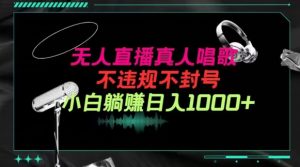 抖音24小时无人直播音乐，不违规，不封号纯撸音浪，小白实操当天日入1000+【揭秘】-沐风资源库