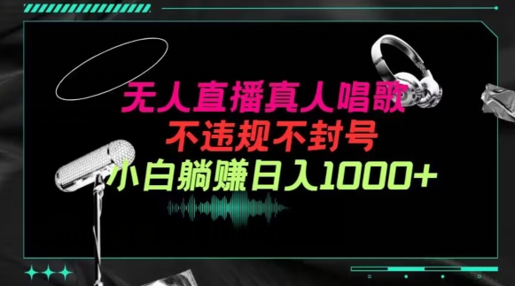抖音24小时无人直播音乐，不违规，不封号纯撸音浪，小白实操当天日入1000+【揭秘】-沐风资源库