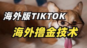 抖音海外版tiktok撸金技术，这个风口行业，赚钱真的不难【揭秘】-沐风资源库