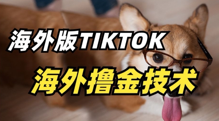 抖音海外版tiktok撸金技术，这个风口行业，赚钱真的不难【揭秘】-沐风资源库