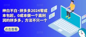 拼多多2024零成本包起，0成本做一个高利润的拼多多，方法不只一个-沐风资源库