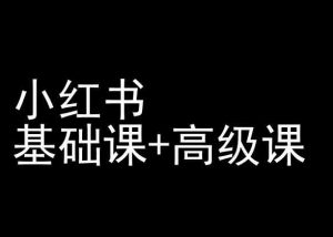 小红书基础课+高级课-小红书运营教程-沐风资源库