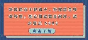 掌握这两个野路子，特效结合神奇布偶，能让粉丝数量飙升，至少增长 5000【揭秘】-沐风资源库