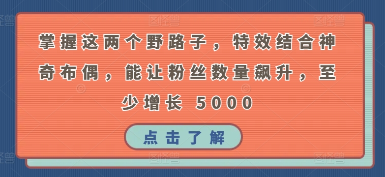 掌握这两个野路子，特效结合神奇布偶，能让粉丝数量飙升，至少增长 5000【揭秘】-沐风资源库