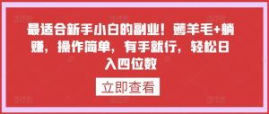 最适合新手小白的副业！薅羊毛+躺赚，操作简单，有手就行，轻松日入四位数【揭秘】-沐风资源库