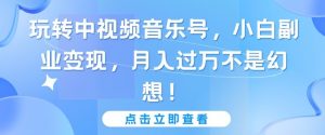 玩转中视频音乐号，小白副业变现，月入过万不是幻想【揭秘】-沐风资源库