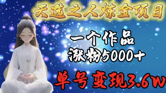 天选之人炼金项目，一个作品涨粉5000+，单号变现3.6w【揭秘】-沐风资源库
