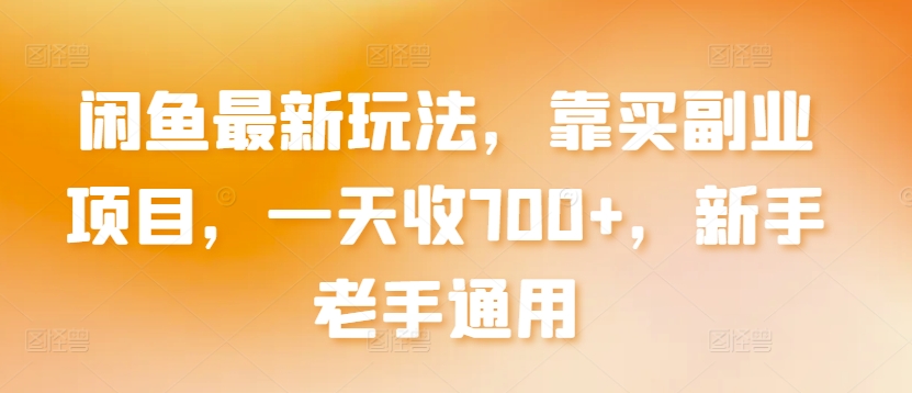 闲鱼最新玩法，靠买副业项目，一天收700+，新手老手通用【揭秘】-沐风资源库