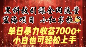 蓝海项目!黑科技引爆全网流量小红书拉新，单日暴力收益7000+，小白也能轻松上手【揭秘】-沐风资源库