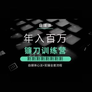 自媒体年入百万镰刀训练营，割割割割割割割割，自媒体心法+实操全套流程-沐风资源库