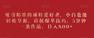 吸引精准的球鞋爱好者，小白也能轻松掌握，持续爆单技巧，5分钟一条作品，日入800+【揭秘】-沐风资源库