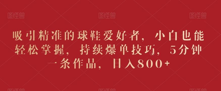 吸引精准的球鞋爱好者，小白也能轻松掌握，持续爆单技巧，5分钟一条作品，日入800+【揭秘】-沐风资源库
