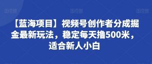 【蓝海项目】视频号创作者分成掘金最新玩法，稳定每天撸500米，适合新人小白【揭秘】-沐风资源库
