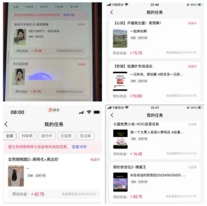 2024年3月最新，快手磁力聚星全流程实操教学，8台手机日均收益稳定100~200元【揭秘】-沐风资源库