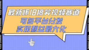 最新怀旧搞笑视频赛道，可多平台分发，实现利益最大化【揭秘】-沐风资源库
