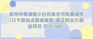 国外问卷调查小白在家也可批量操作(口子查站点查渠道查)真正的长久稳定项目 日入1500+【揭秘】-沐风资源库
