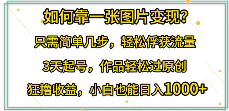 如何靠一张图片变现?只需简单几步，轻松俘获流量，3天起号，作品轻松过原创【揭秘】-沐风资源库