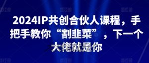 2024IP共创合伙人课程，手把手教你“割韭菜”，下一个大佬就是你-沐风资源库