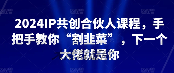 2024IP共创合伙人课程，手把手教你“割韭菜”，下一个大佬就是你-沐风资源库