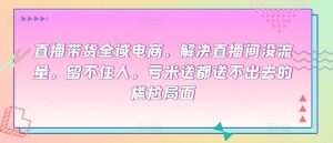 直播带货全域电商，解决直播间没流量，留不住人，亏米送都送不出去的尴尬局面-沐风资源库