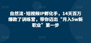 自然流·短视频IP孵化手，14天百万爆款了训练营，带你迈出“月入5w新职业”第一步-沐风资源库