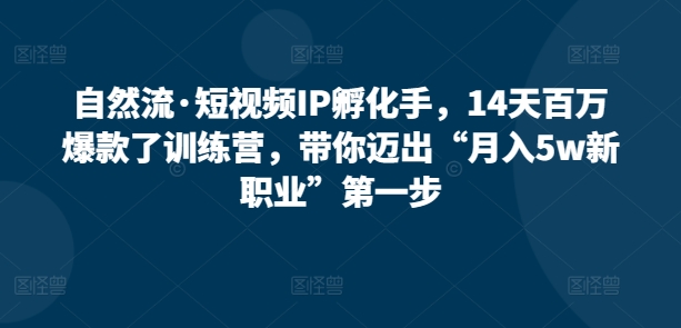 自然流·短视频IP孵化手，14天百万爆款了训练营，带你迈出“月入5w新职业”第一步-沐风资源库