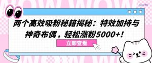 两个高效吸粉秘籍揭秘：特效加持与神奇布偶，轻松涨粉5000+【揭秘】-沐风资源库