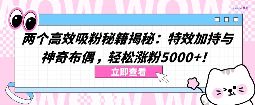 两个高效吸粉秘籍揭秘：特效加持与神奇布偶，轻松涨粉5000+【揭秘】-沐风资源库