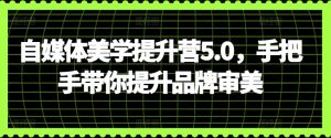 自媒体美学提升营5.0，手把手带你提升品牌审美-沐风资源库