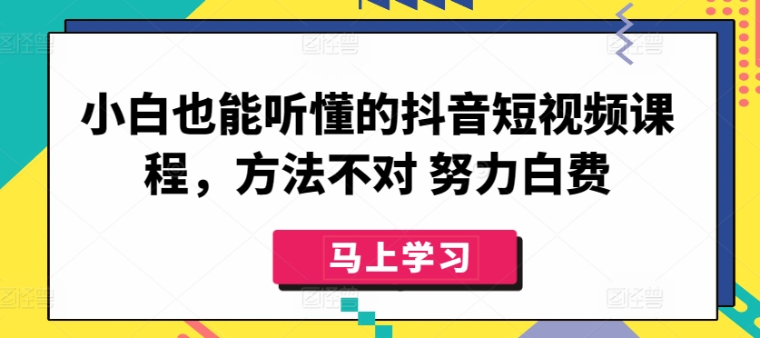 小白也能听懂的抖音短视频课程，方法不对 努力白费-沐风资源库