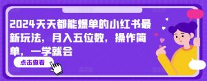 2024天天都能爆单的小红书最新玩法，月入五位数，操作简单，一学就会【揭秘】-沐风资源库