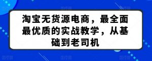 淘宝无货源电商，最全面最优质的实战教学，从基础到老司机-沐风资源库